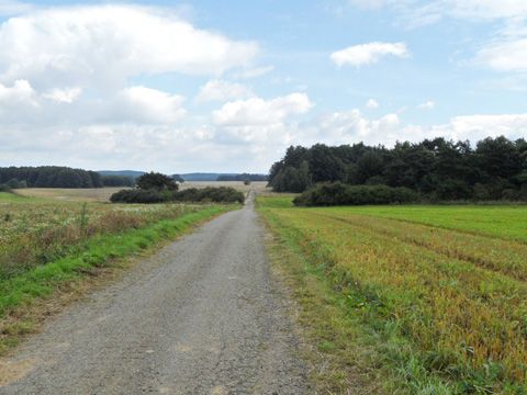 Foto 45